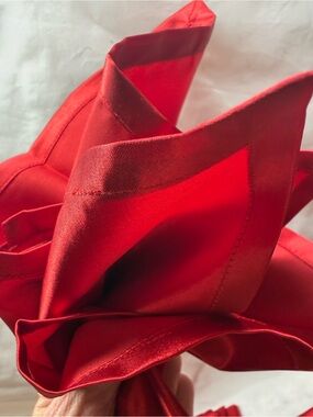 Pier 1 Red Satin Kids Bottoms